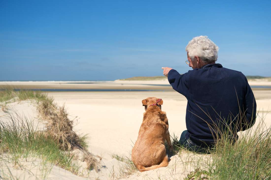 Man met hond op Texel strand