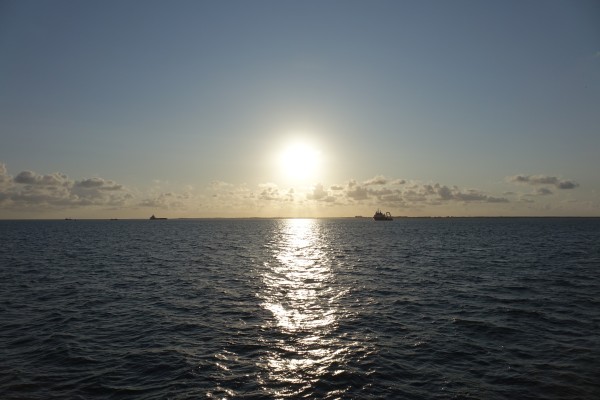 Zomeravondcruises